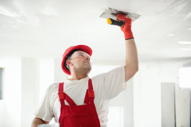 Best Black Mold Removal  in Marlton, NJ